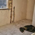 پیش فروش خ مصلی 100 متر سه نبش